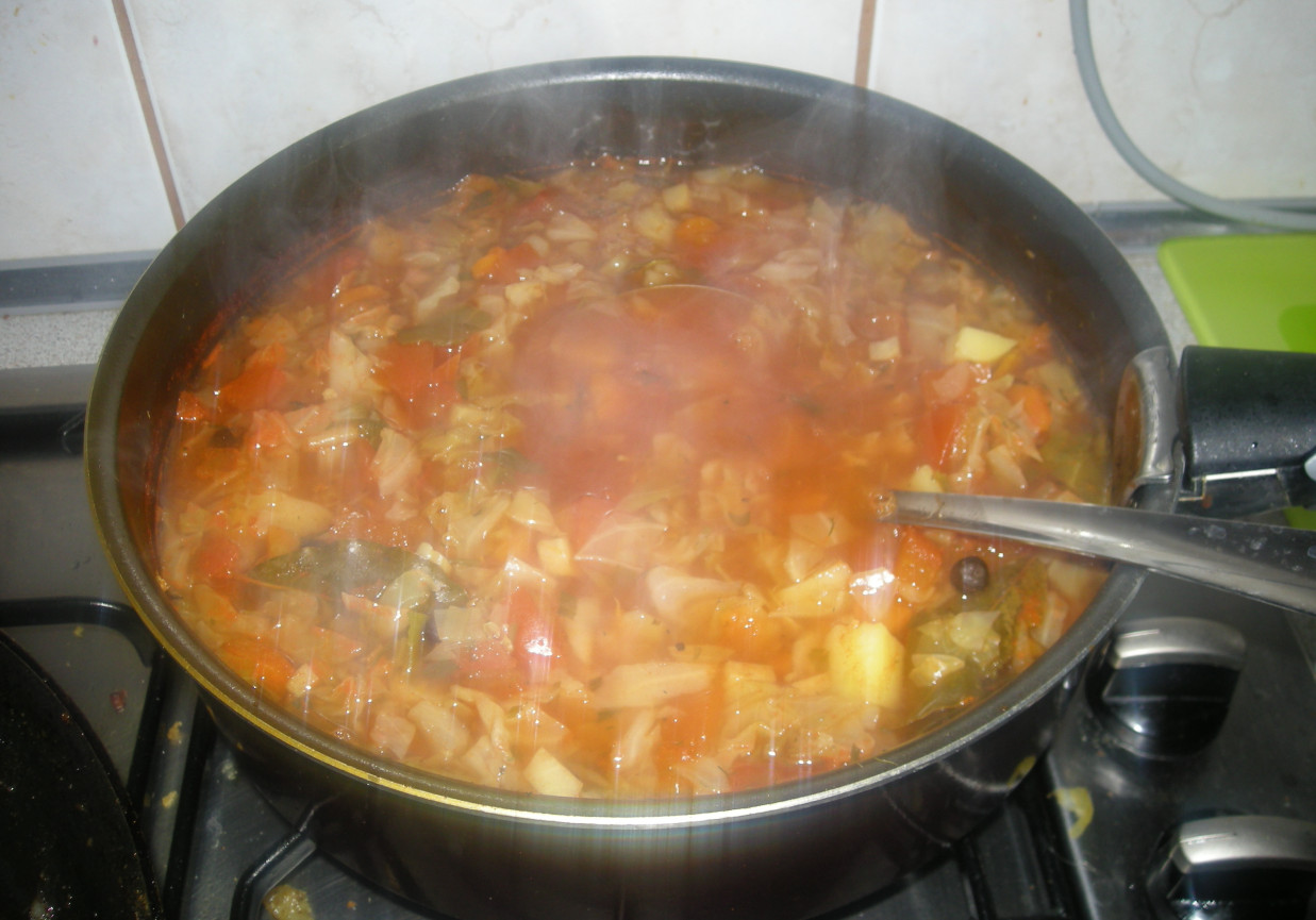 zupa z młodej kapusty i pomidorów foto