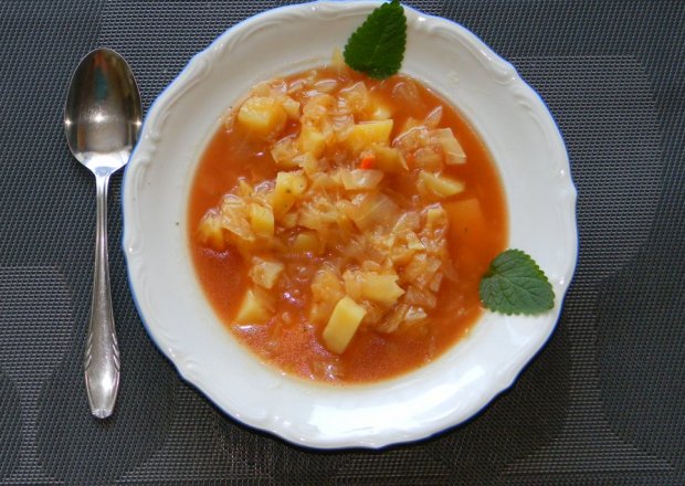 Fotografia przedstawiająca Zupa z Młodej Kapusty