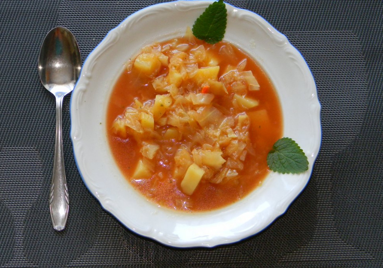 Zupa z Młodej Kapusty foto