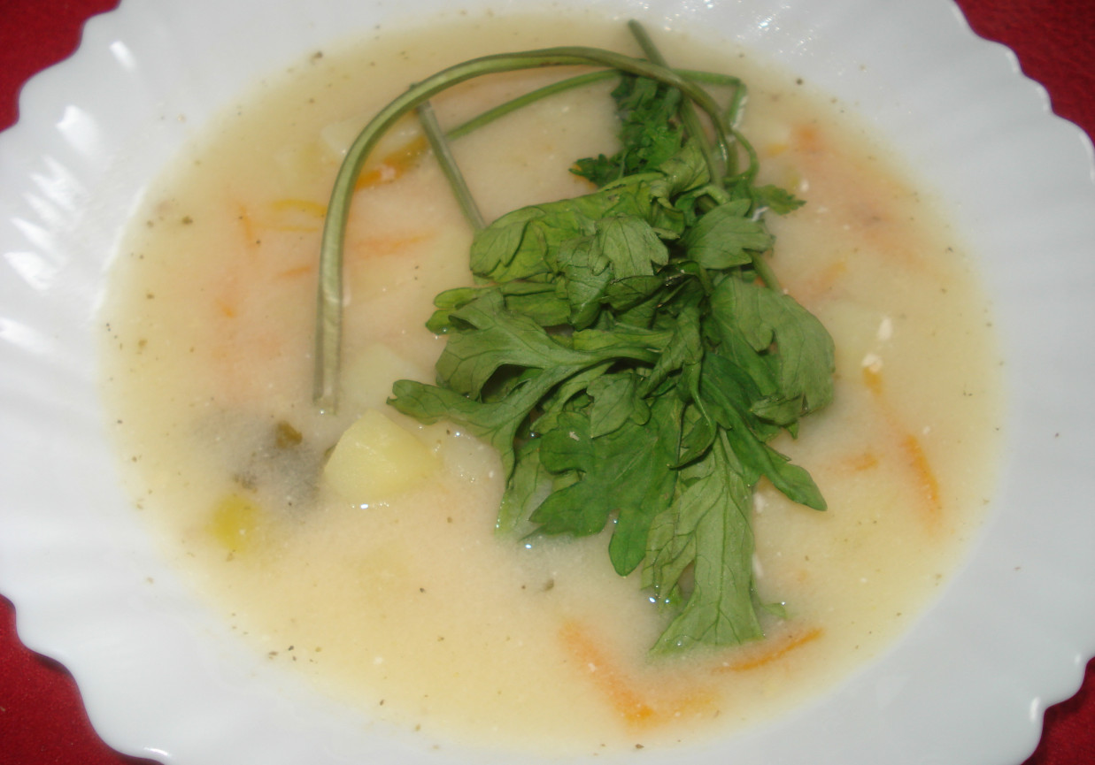 Zupa z młodej włoszczyzny foto