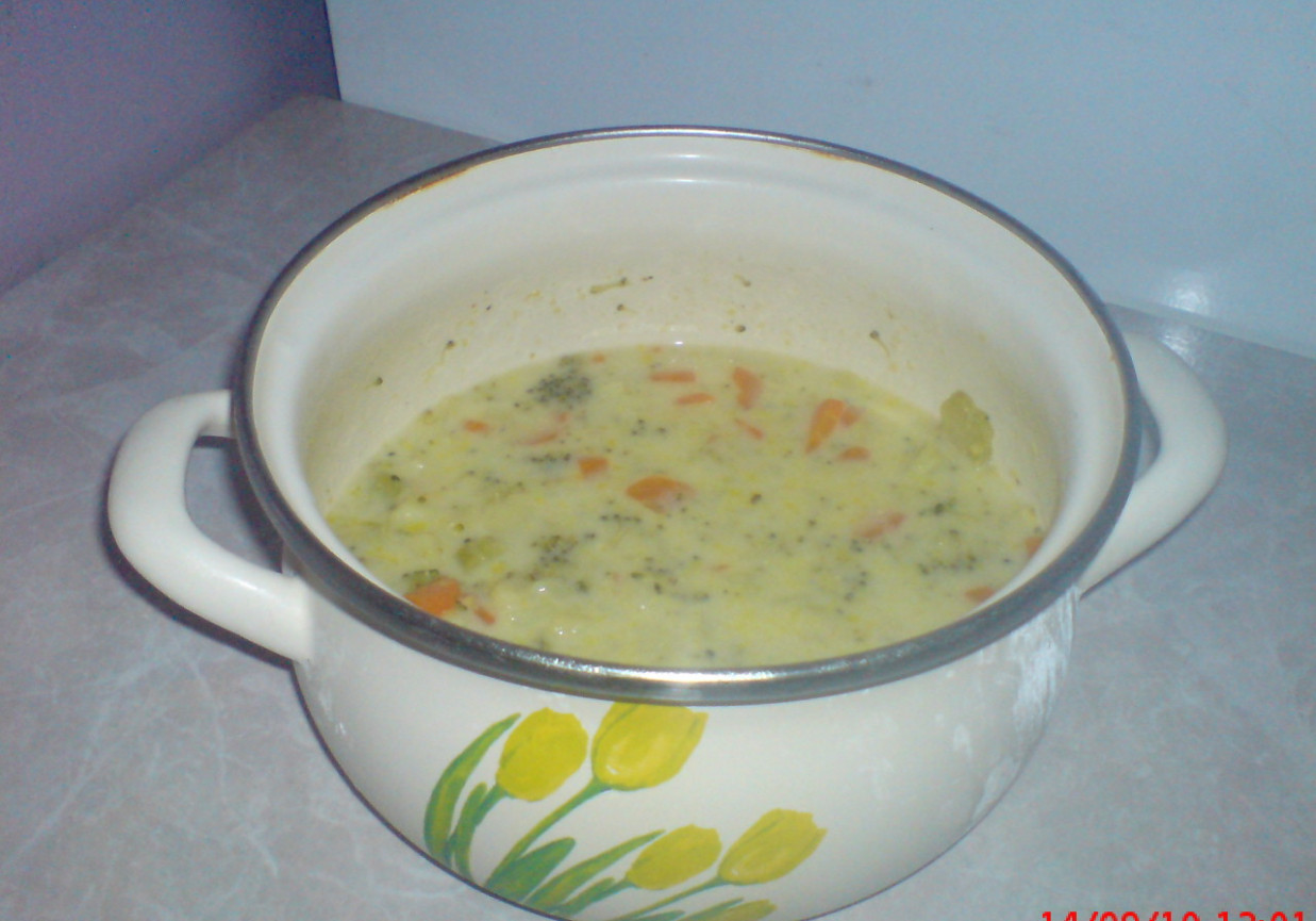zupa z młodych lisci pokrzywy z ryżem foto
