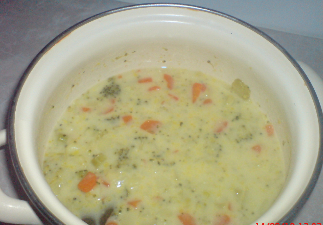 zupa z młodych lisci pokrzywy z ryżem foto