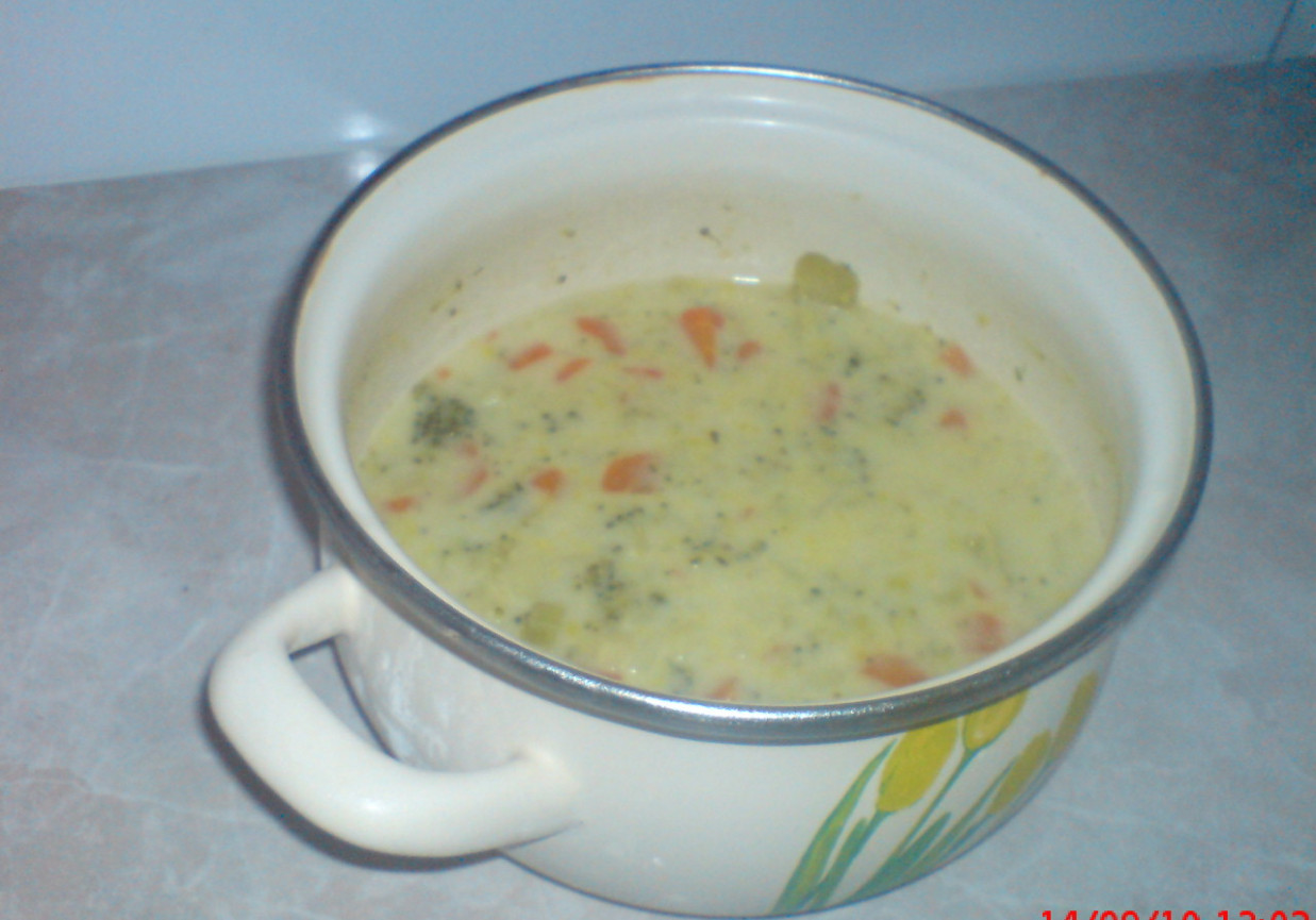 zupa z młodych lisci pokrzywy z ryżem DoradcaSmaku.pl