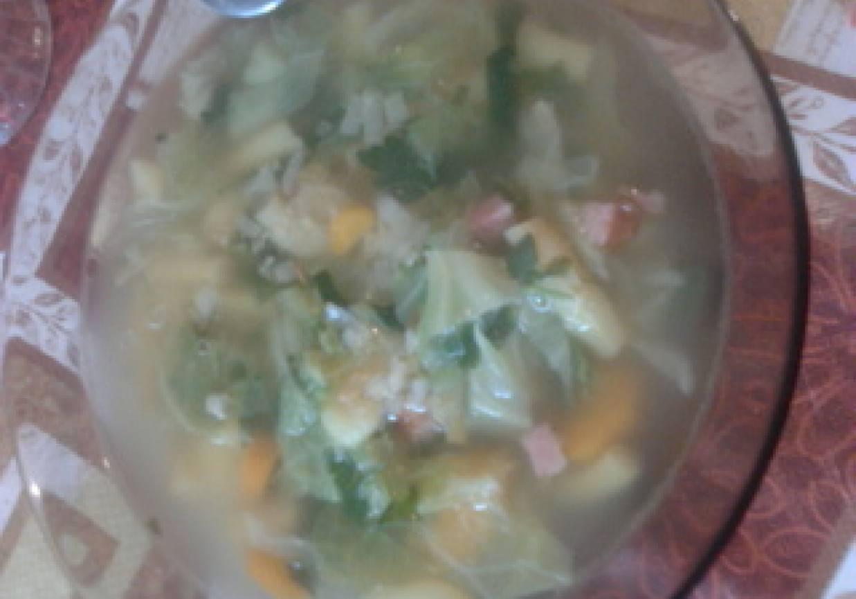 zupa z młodych liści pokrzywy foto