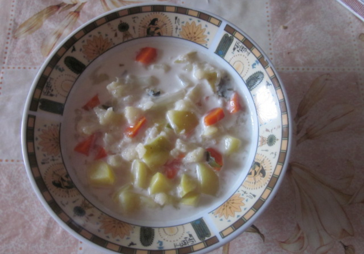 Zupa z młodych warzyw foto