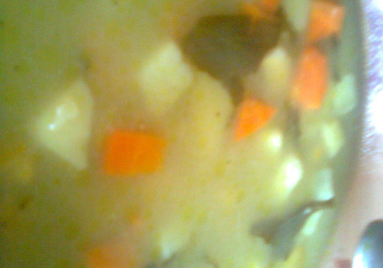 zupa z mrożonki warzywnej z pulpetami foto