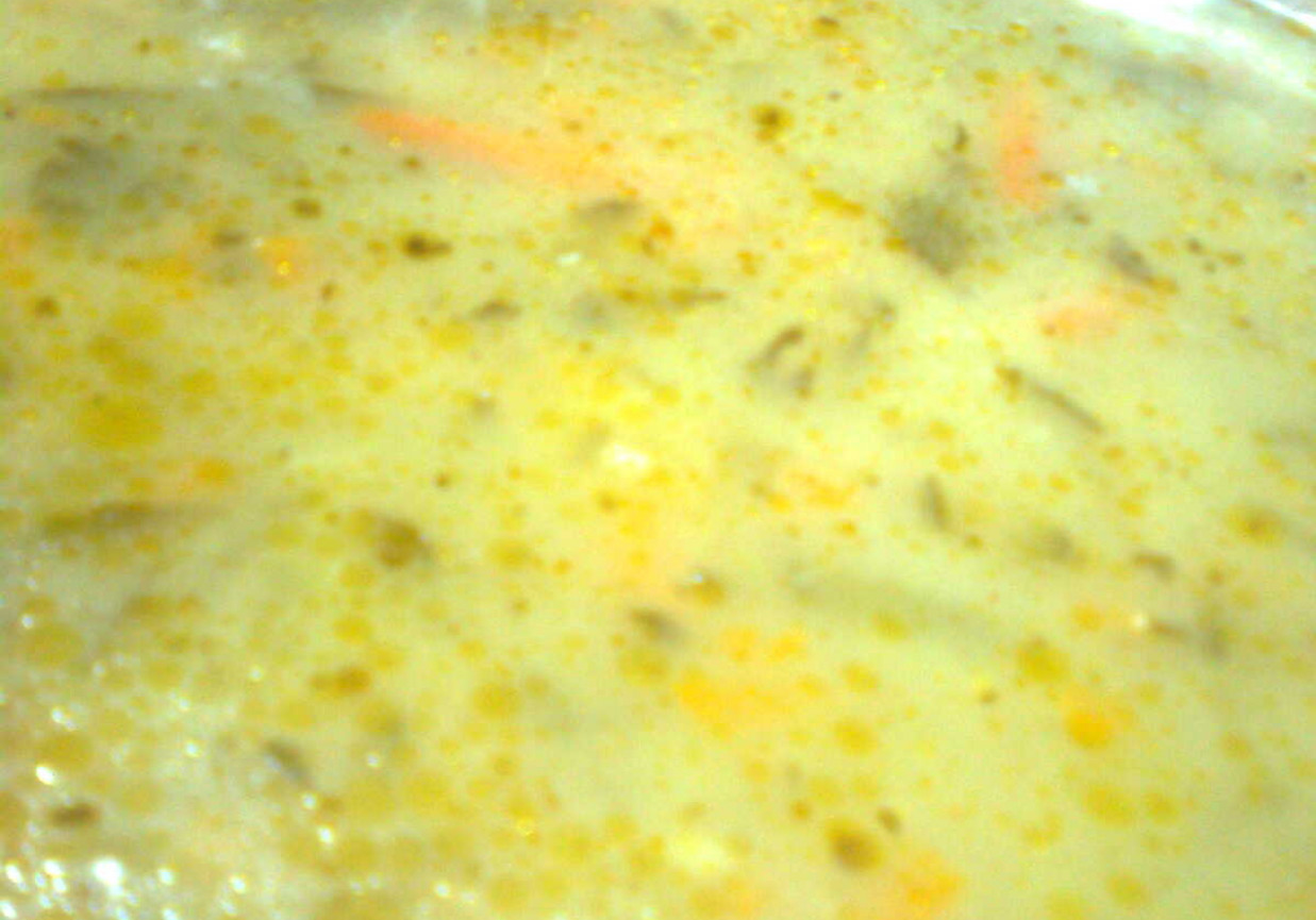 zupa z mrożonki warzywnej foto