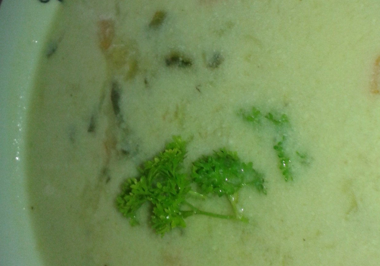 Zupa z ogórków małosolnych foto