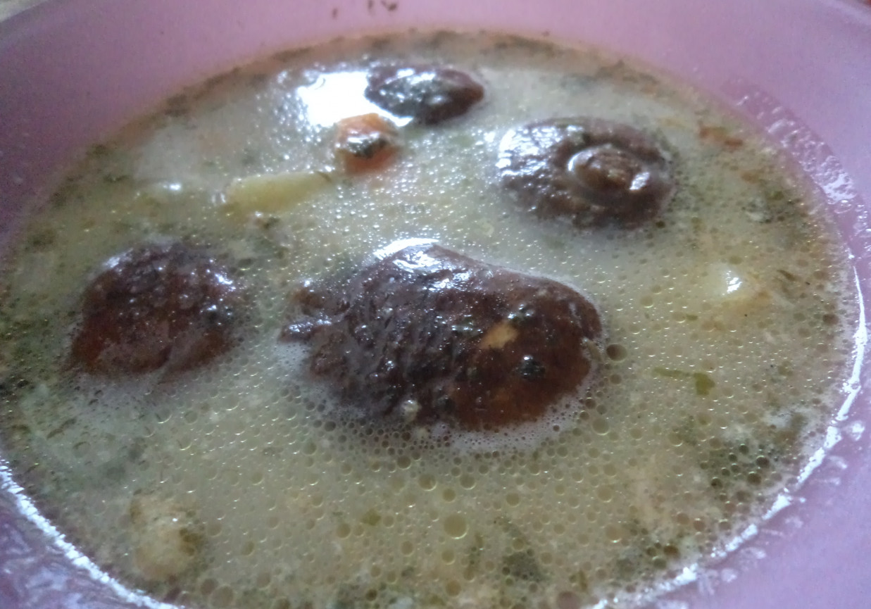 Zupa z podgrzybkami:) foto