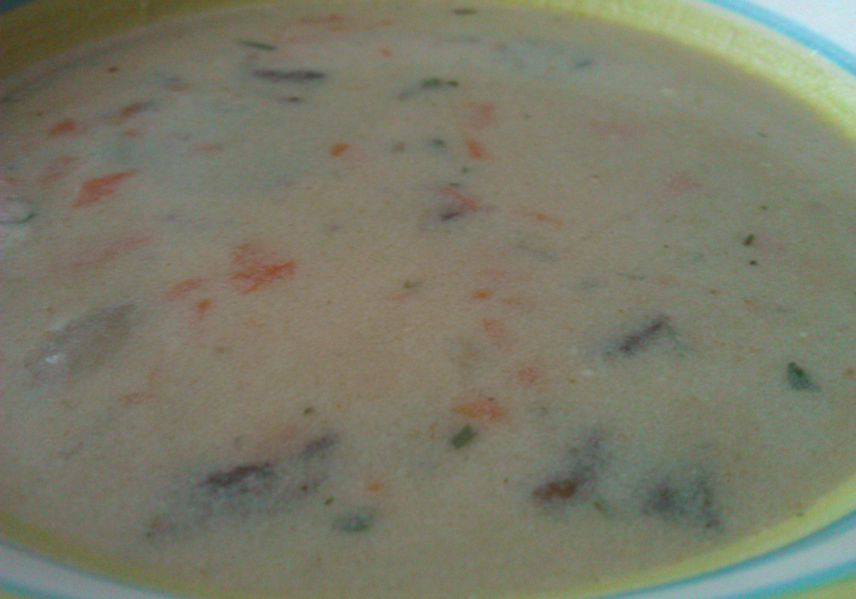 Zupa z podgrzybków foto