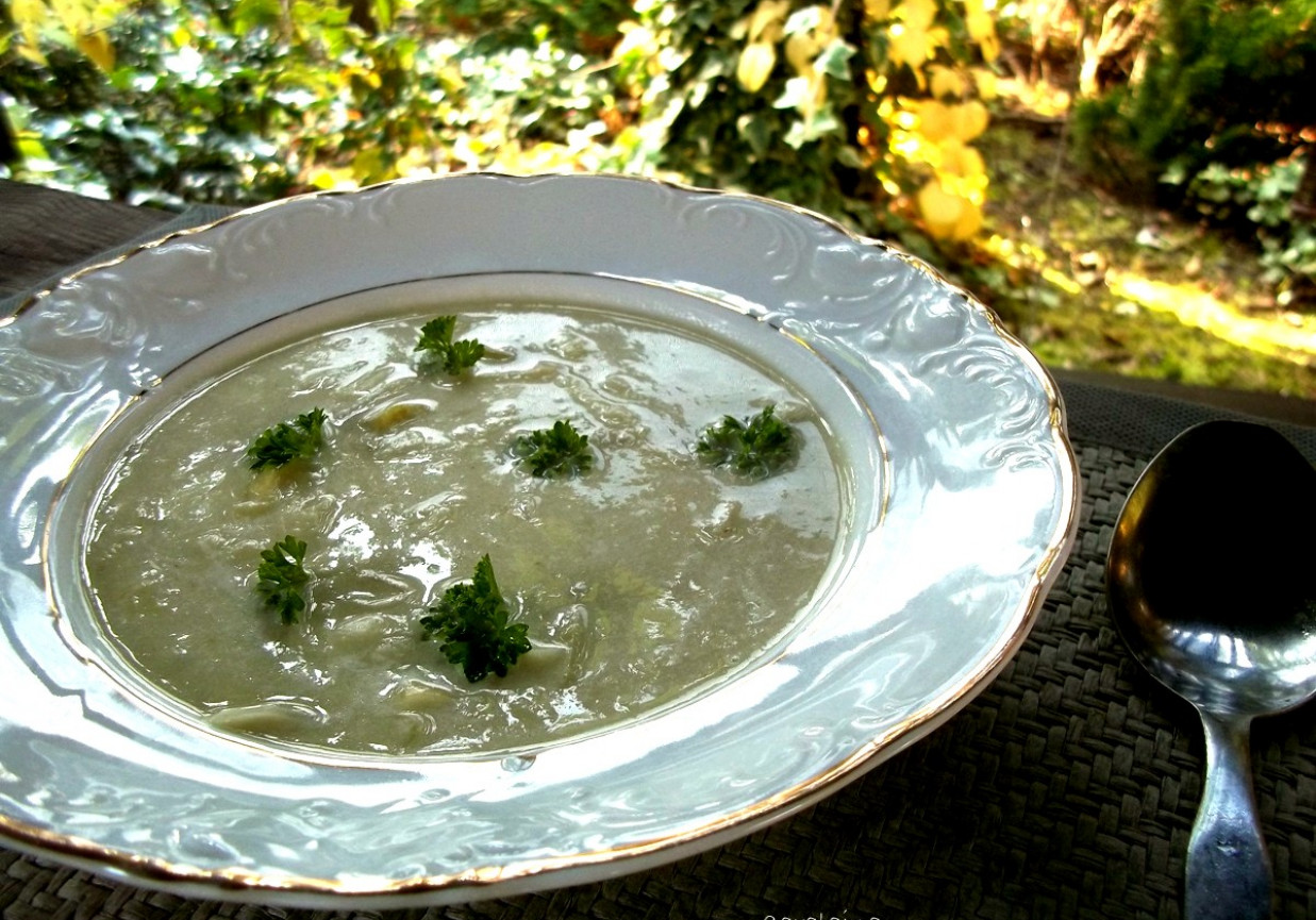 zupa z porem i mlekiem kokosowym foto
