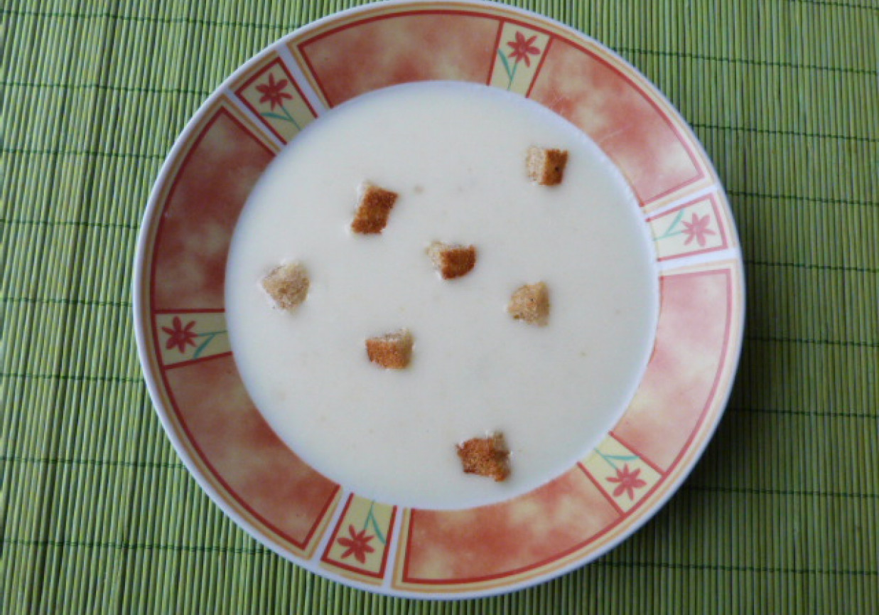 Zupa z porów z grzankami foto