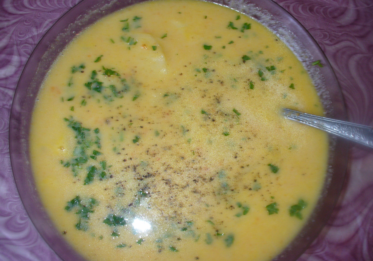 Zupa z porów z ziemniakami foto