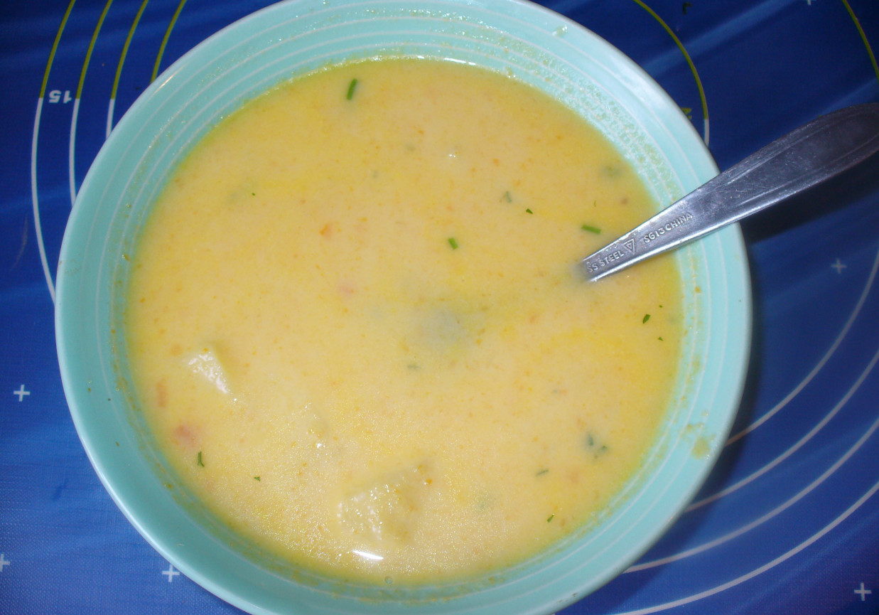 Zupa z porów foto