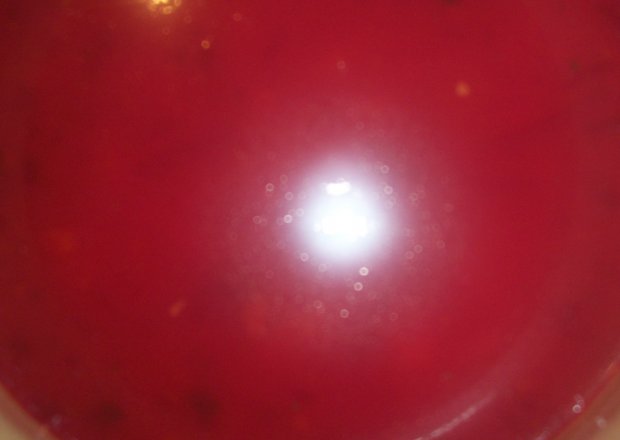 Fotografia przedstawiająca zupa z rabarbaru beti