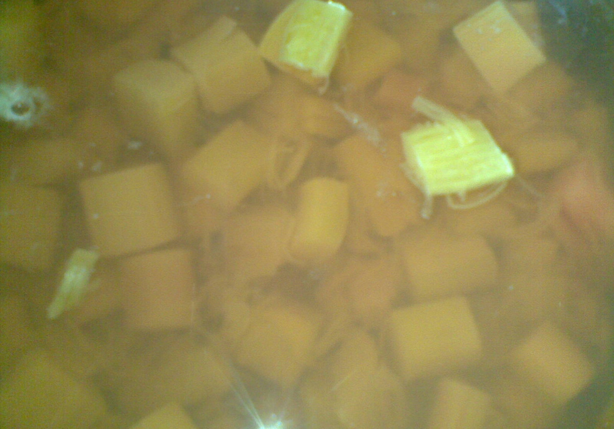 zupa z rabarbaru foto