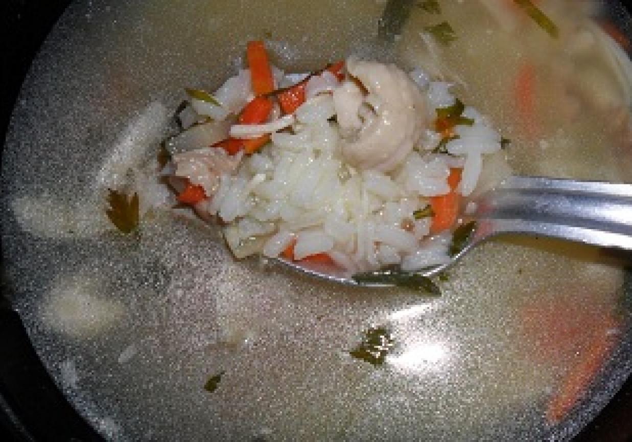 Zupa z ryżem foto