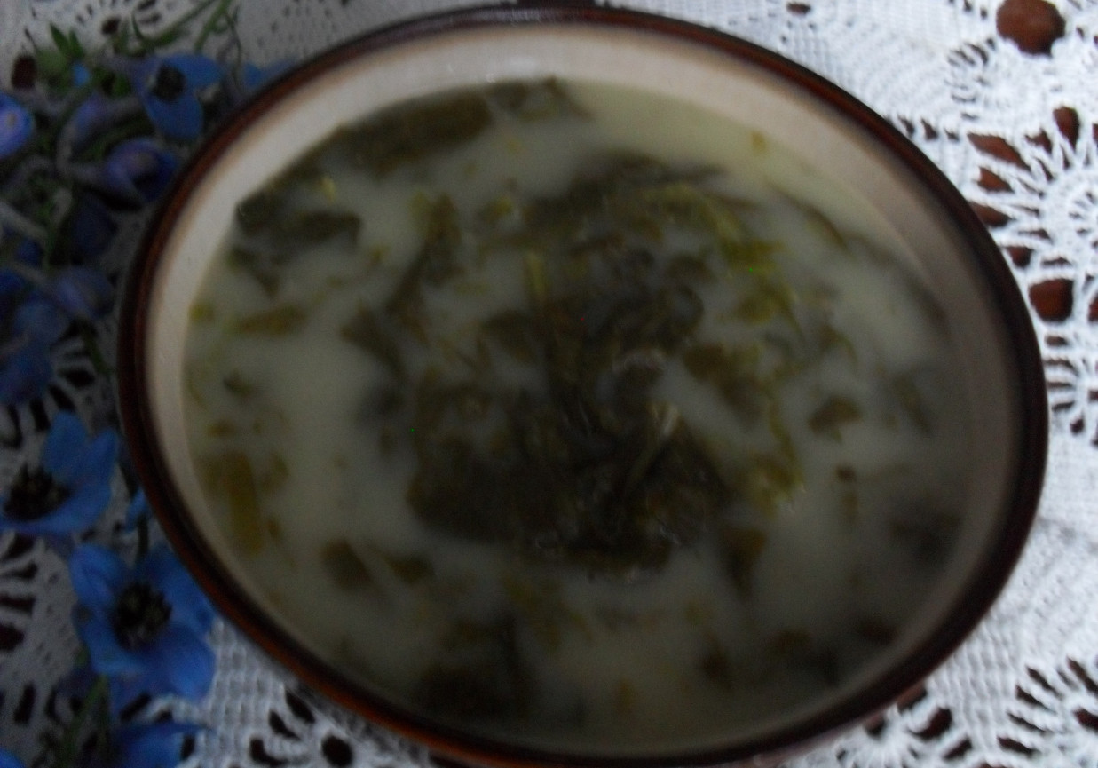Zupa z sałaty foto