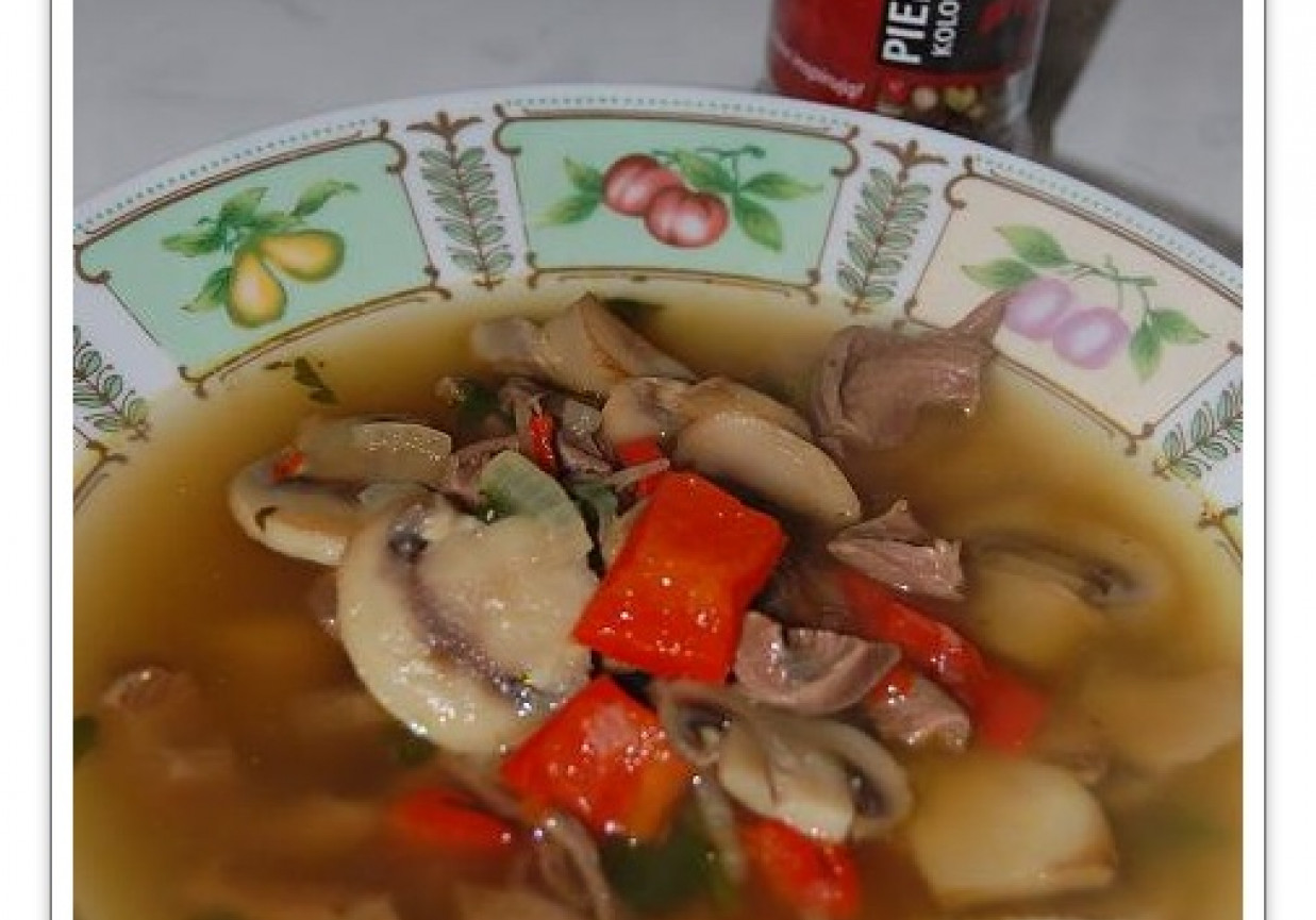 zupa z serc drobiowych i chilli foto