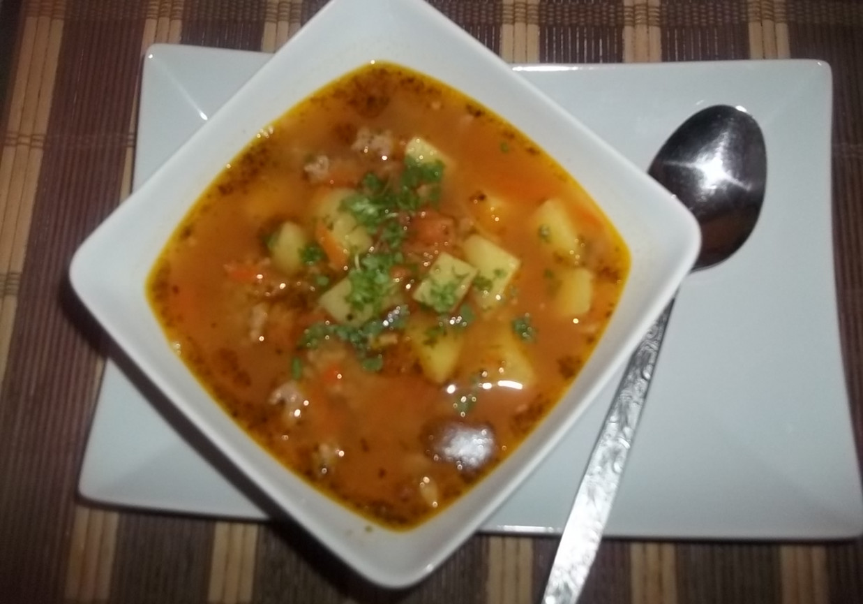 Zupa z soczewicą i mielonym mięsem foto