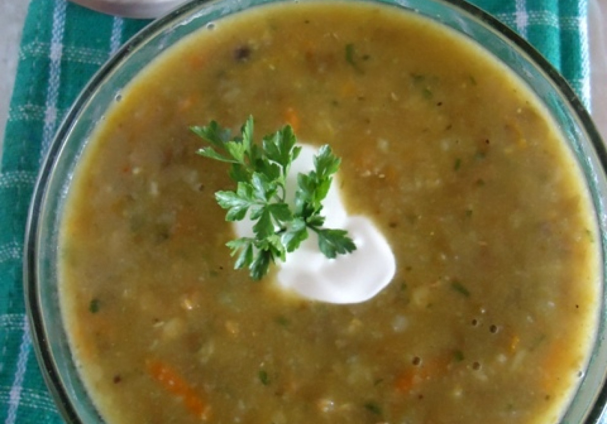 Zupa z soczewicy zielonej foto