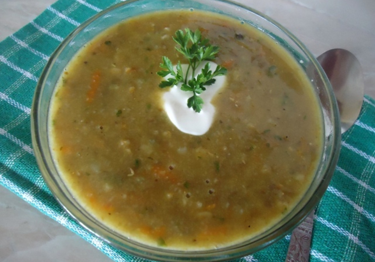 Zupa z soczewicy zielonej foto