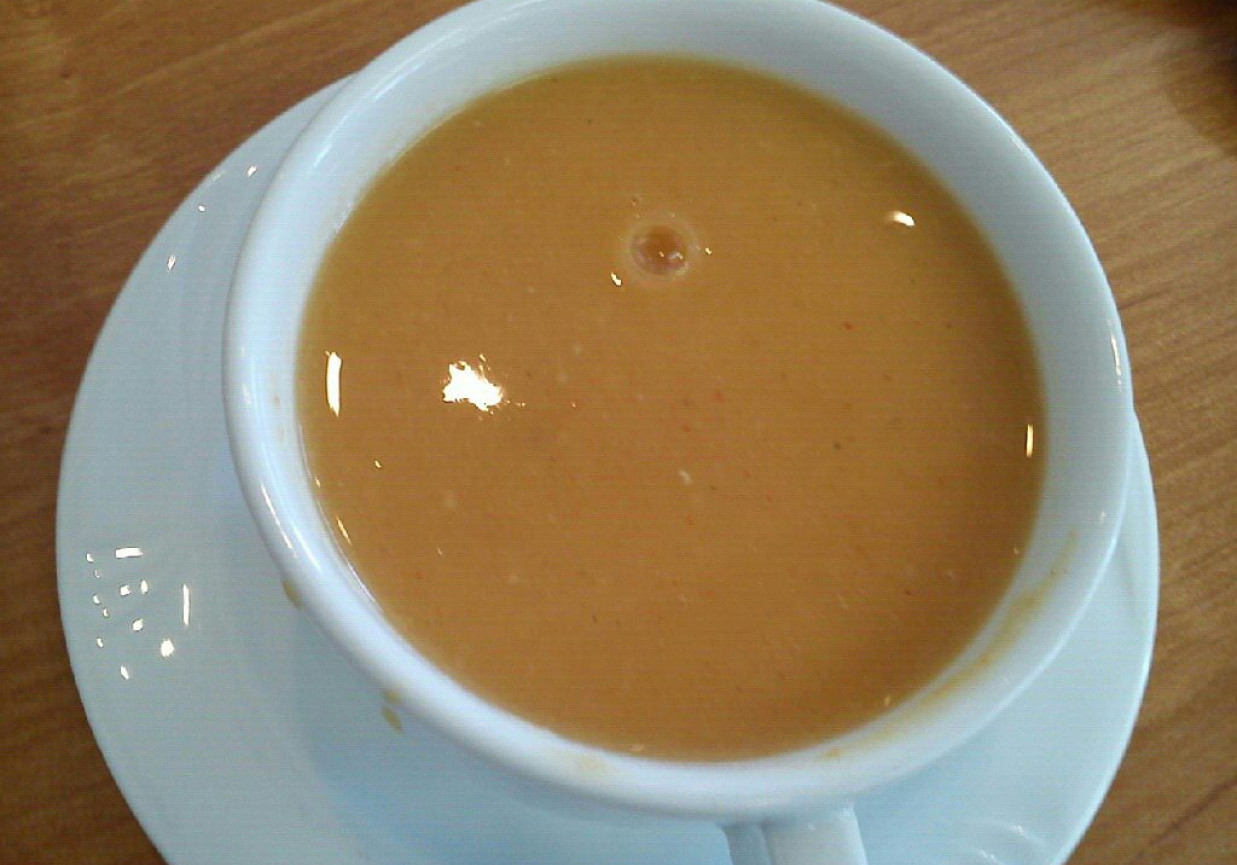 zupa z soczewicy foto