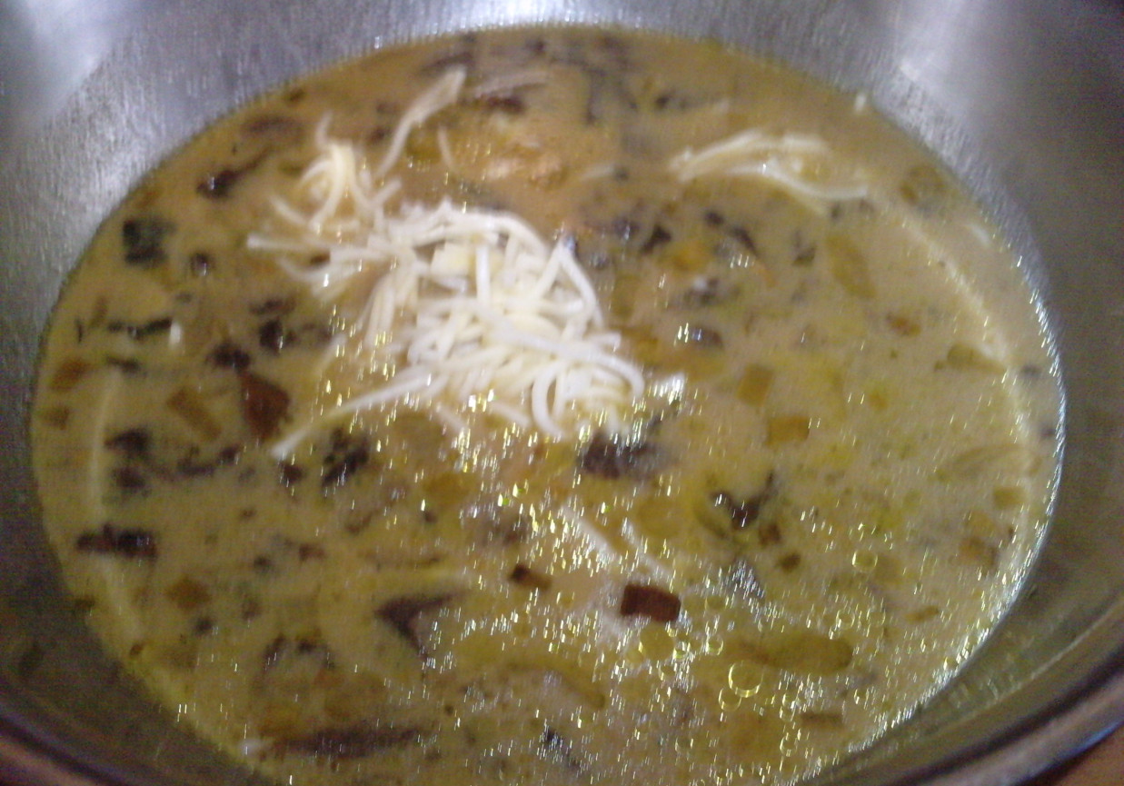 Zupa z suszonych borowików foto
