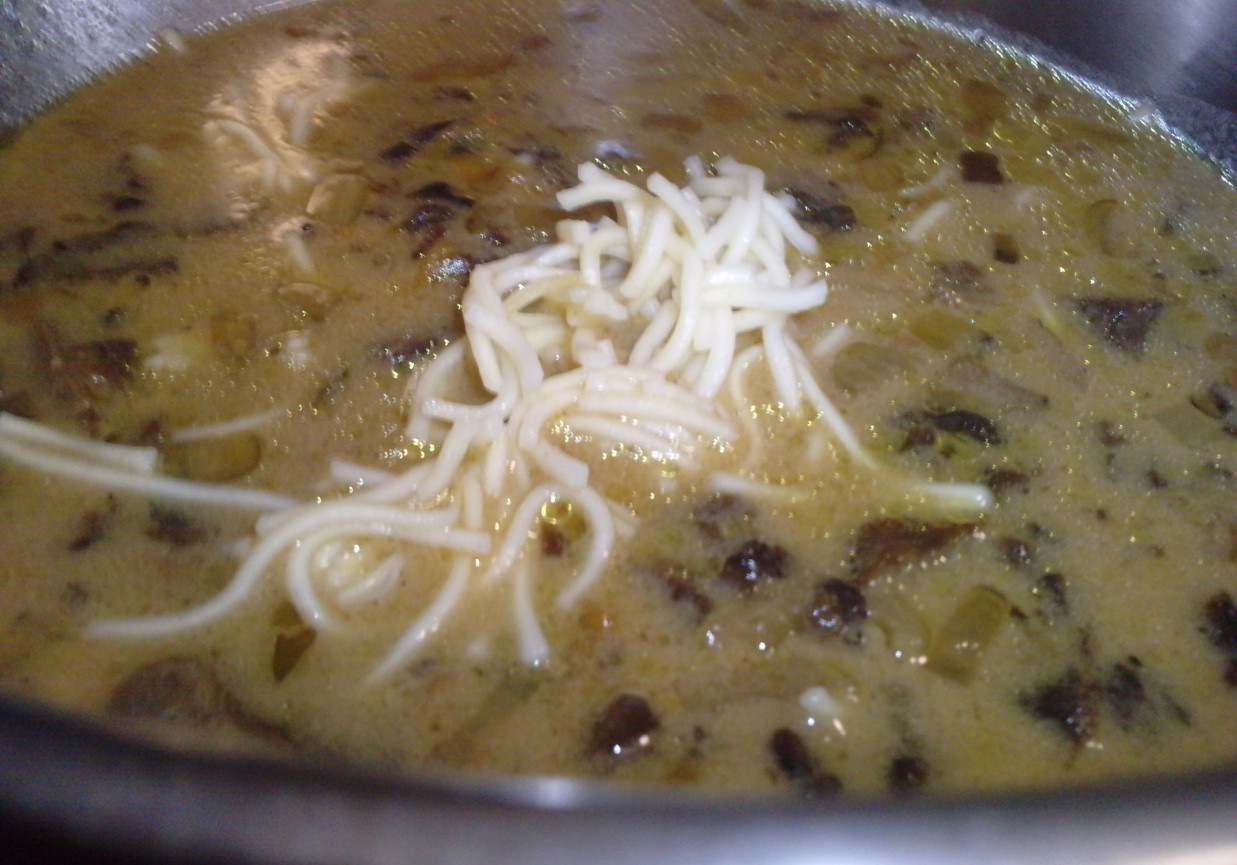 Zupa z suszonych borowików foto