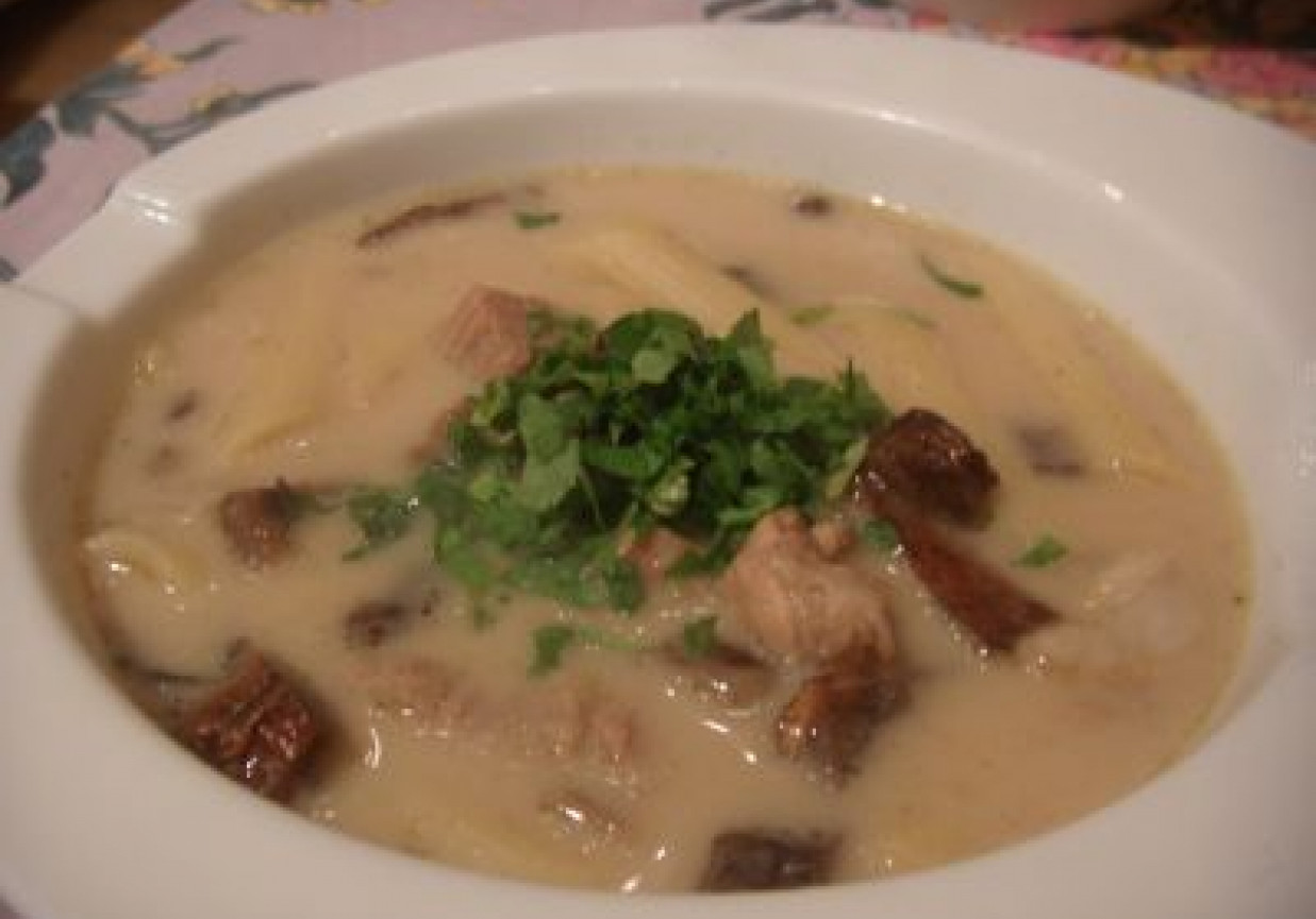 Zupa z suszonych grzybów z makaronem i mięsną wkładką foto