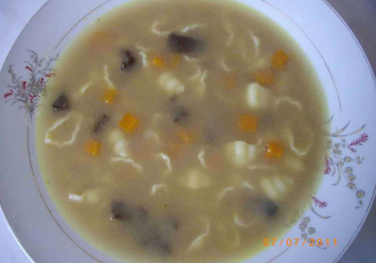 Zupa z suszonych grzybow z makaronem foto