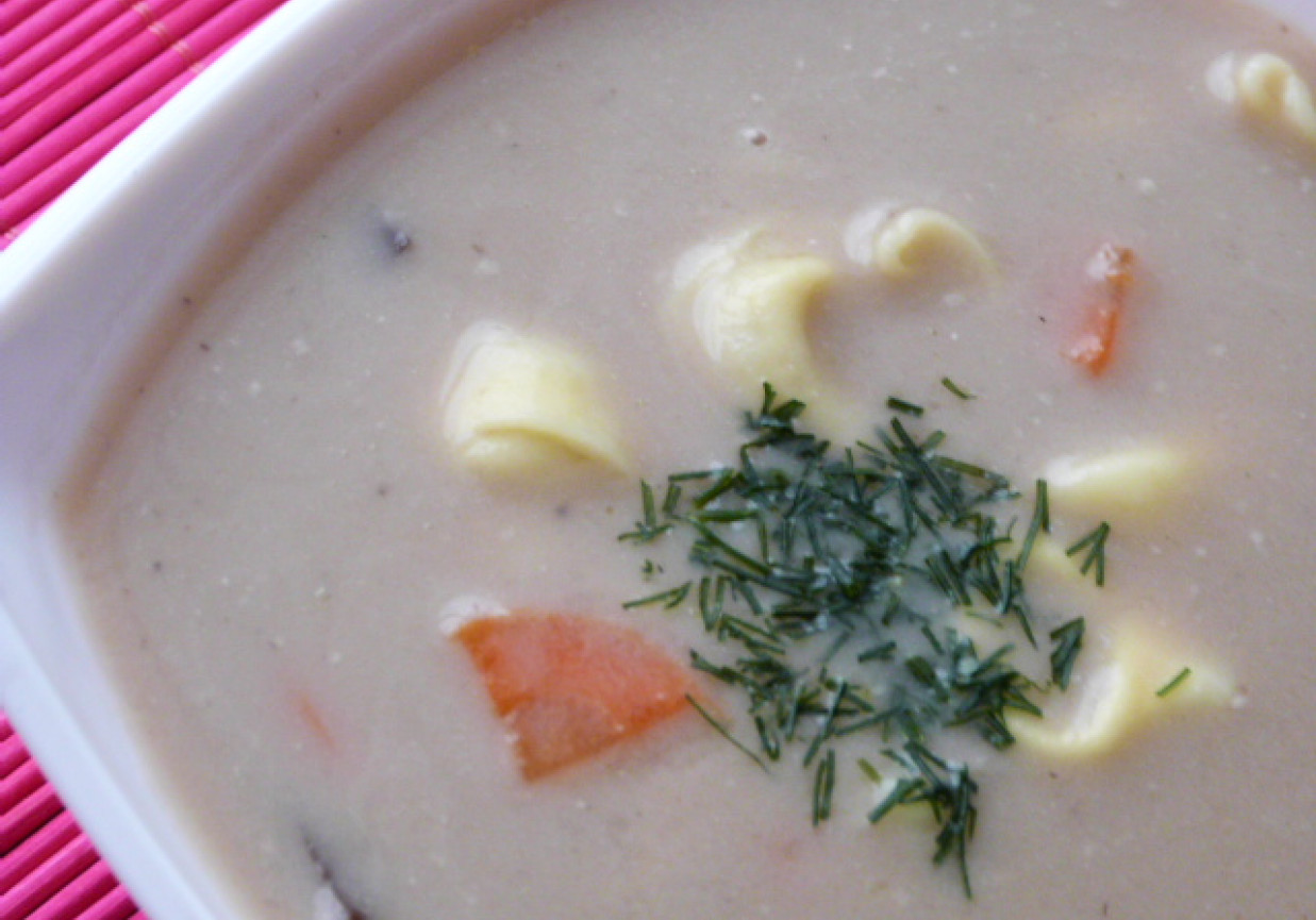 Zupa z suszonych grzybów z tortellini foto