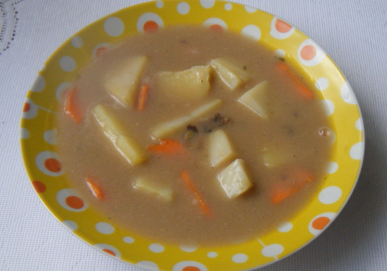 Zupa z suszonych grzybów z warzywami foto