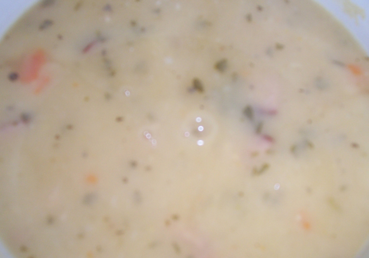 zupa z suszonych grzybów foto