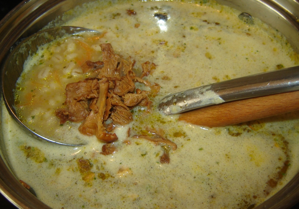 Zupa z suszonych kurek foto