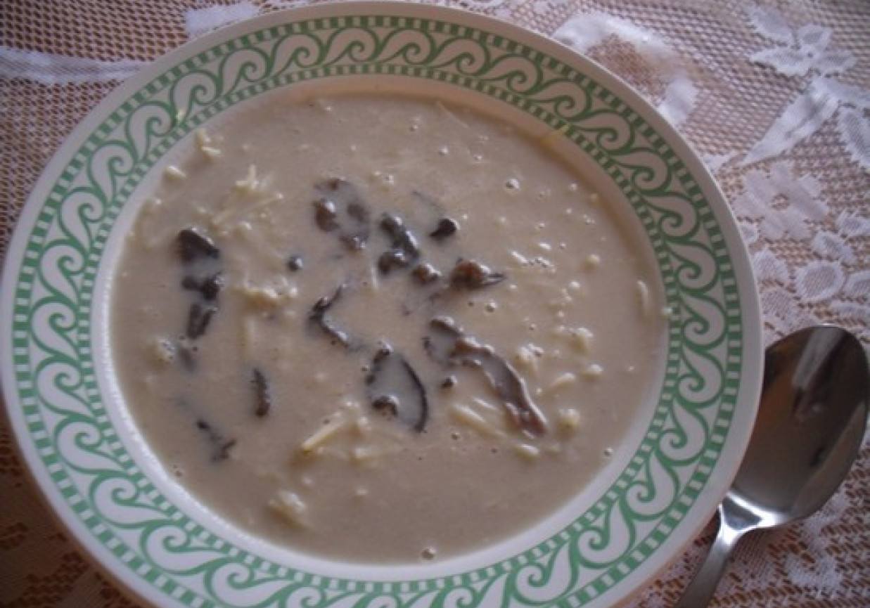 Zupa z suszonych maślaków foto