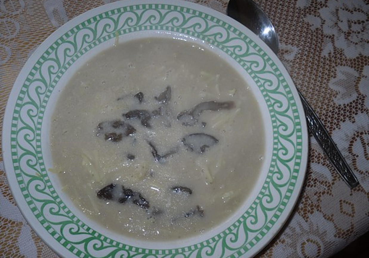 Zupa z suszonych maślaków foto