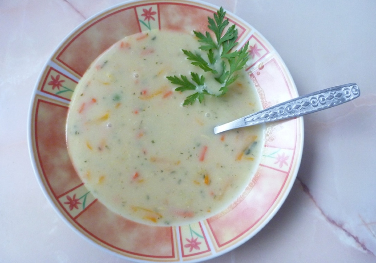 Zupa z warzyw mieszanych foto