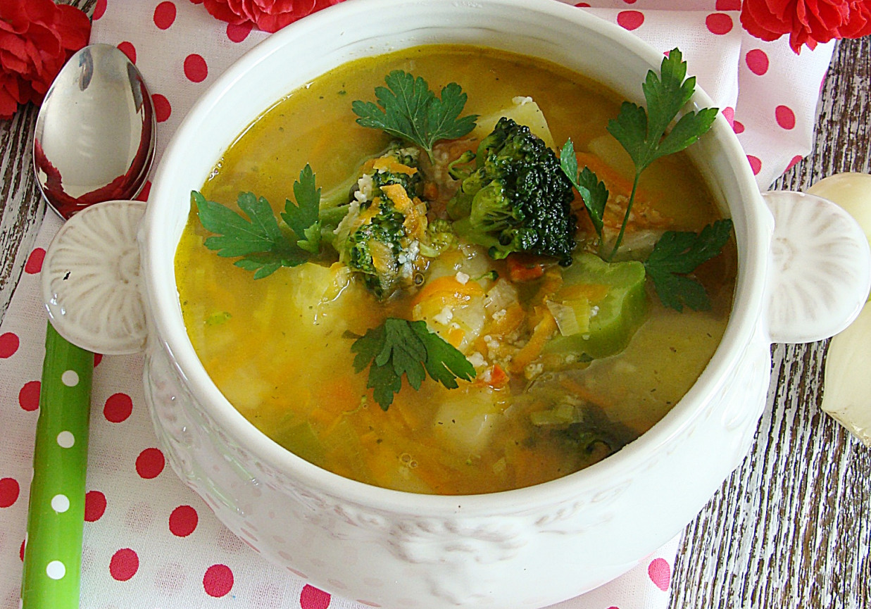 Zupa z warzywami i kaszą jaglaną  foto