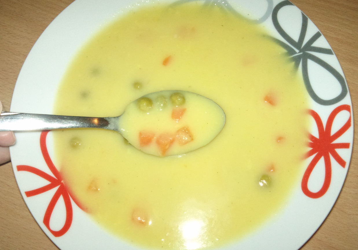 Zupa z zielonej dyni z groszkiem i marchewką foto