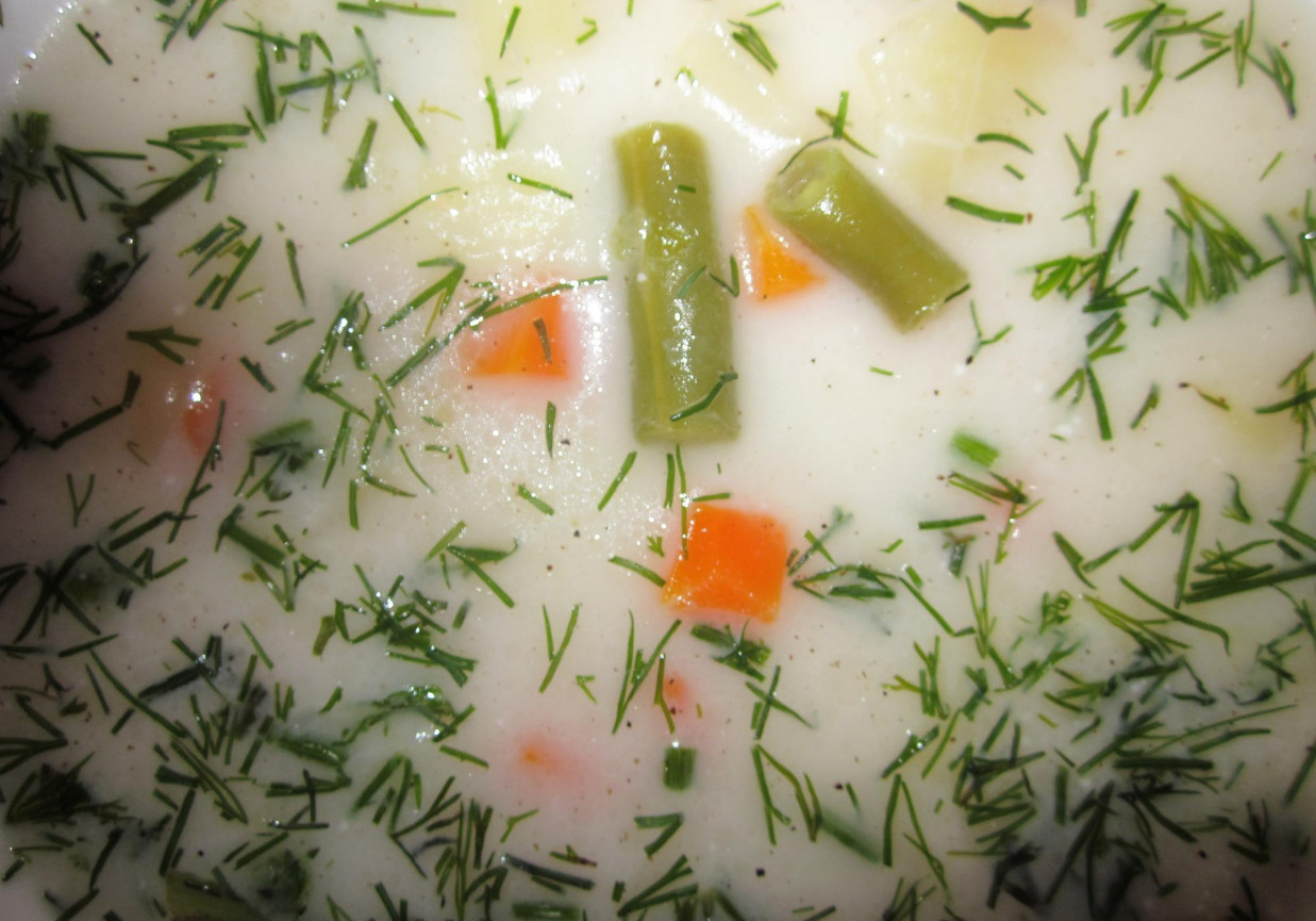 Zupa z zielonej fasolki foto