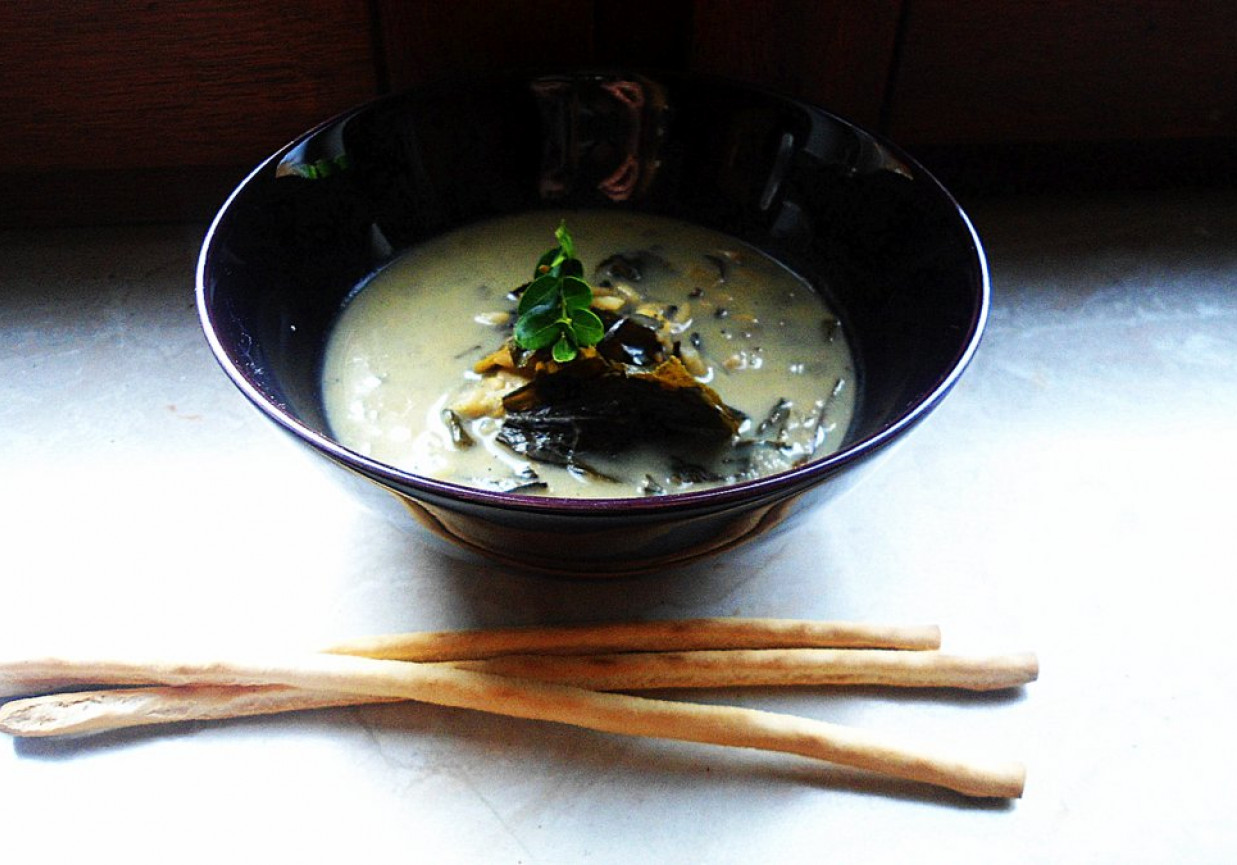 Zupa z zielonej herbaty z paluszkami chlebowymi, dzikim ryżem i algami foto