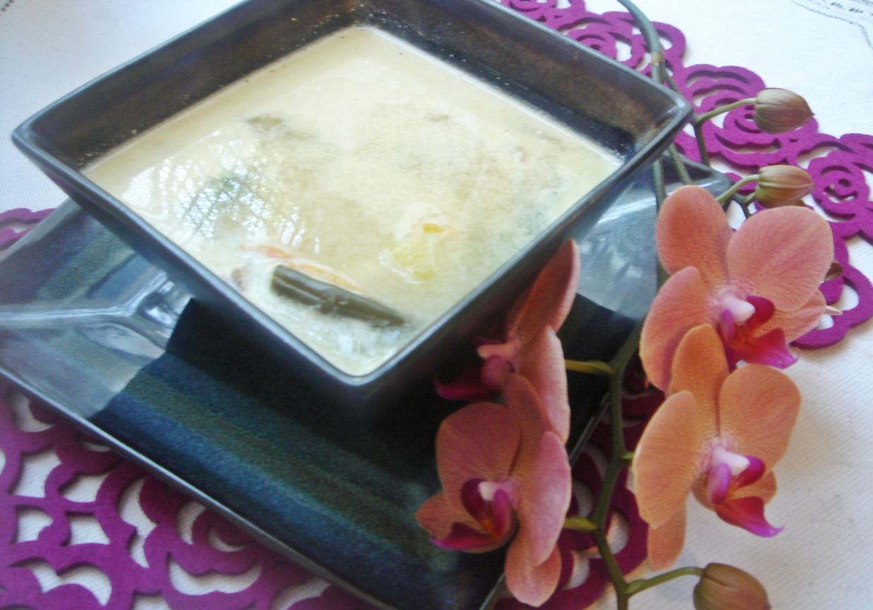Zupa z zielonej i żółtej fasolki szparagowej na domowym bulionie foto