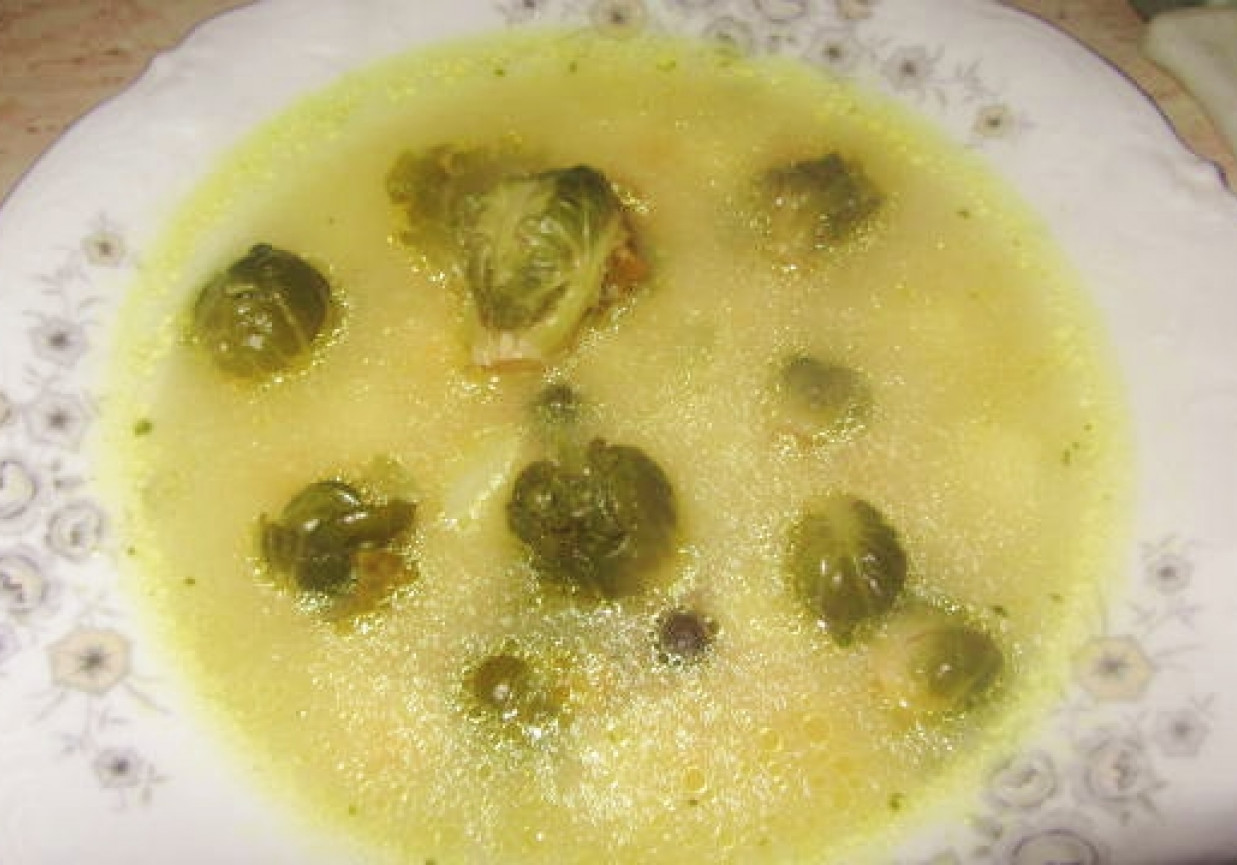Zupa z zielonych brukselek foto