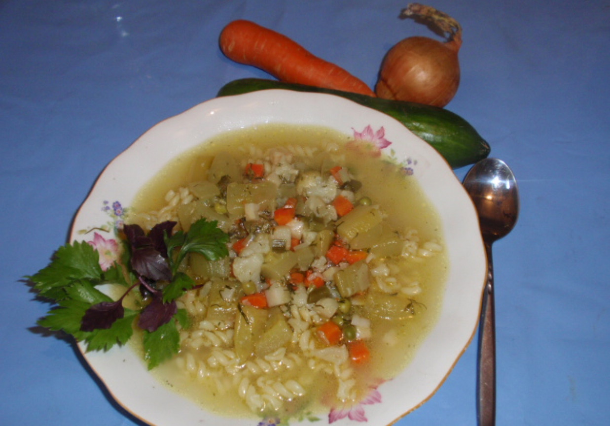 Zupa  z zielonych ogórków z makaronem foto