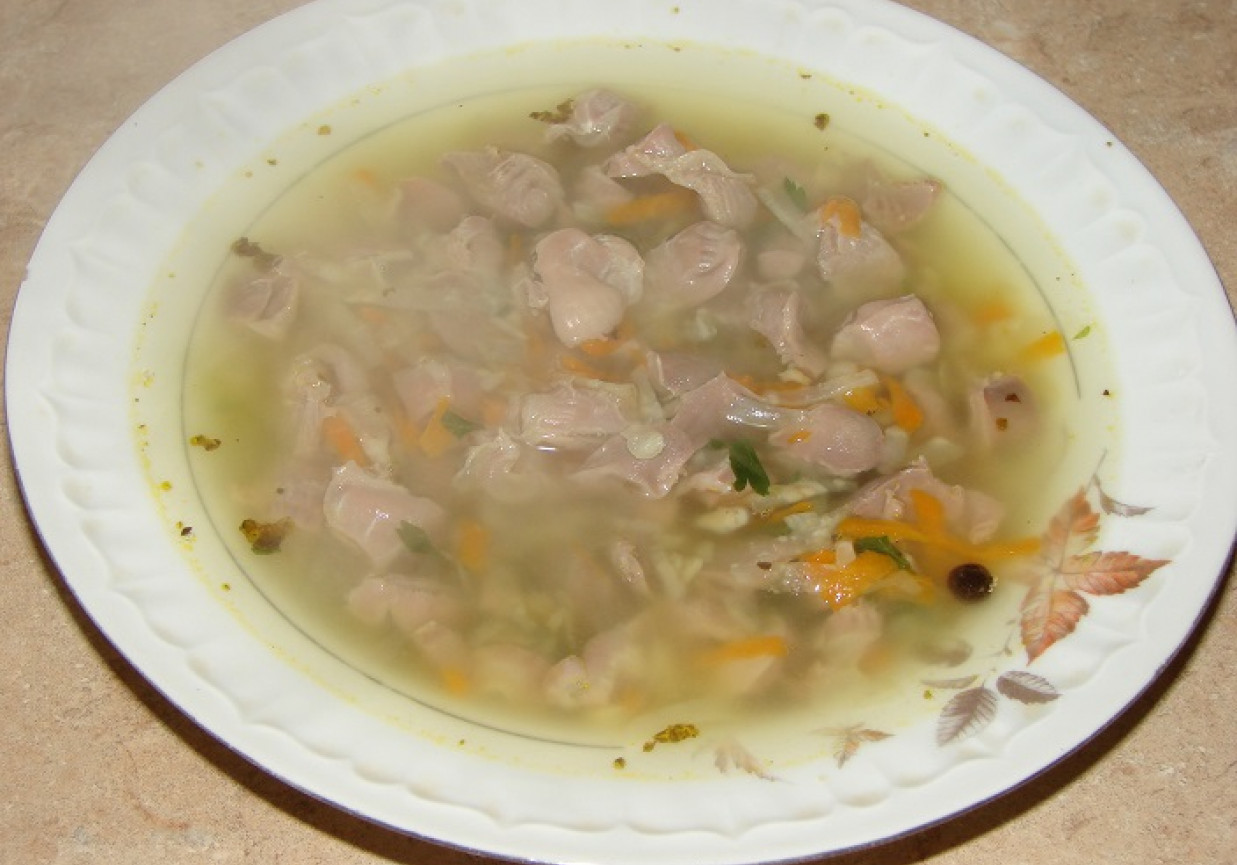 Zupa z żołądków drobiowych foto