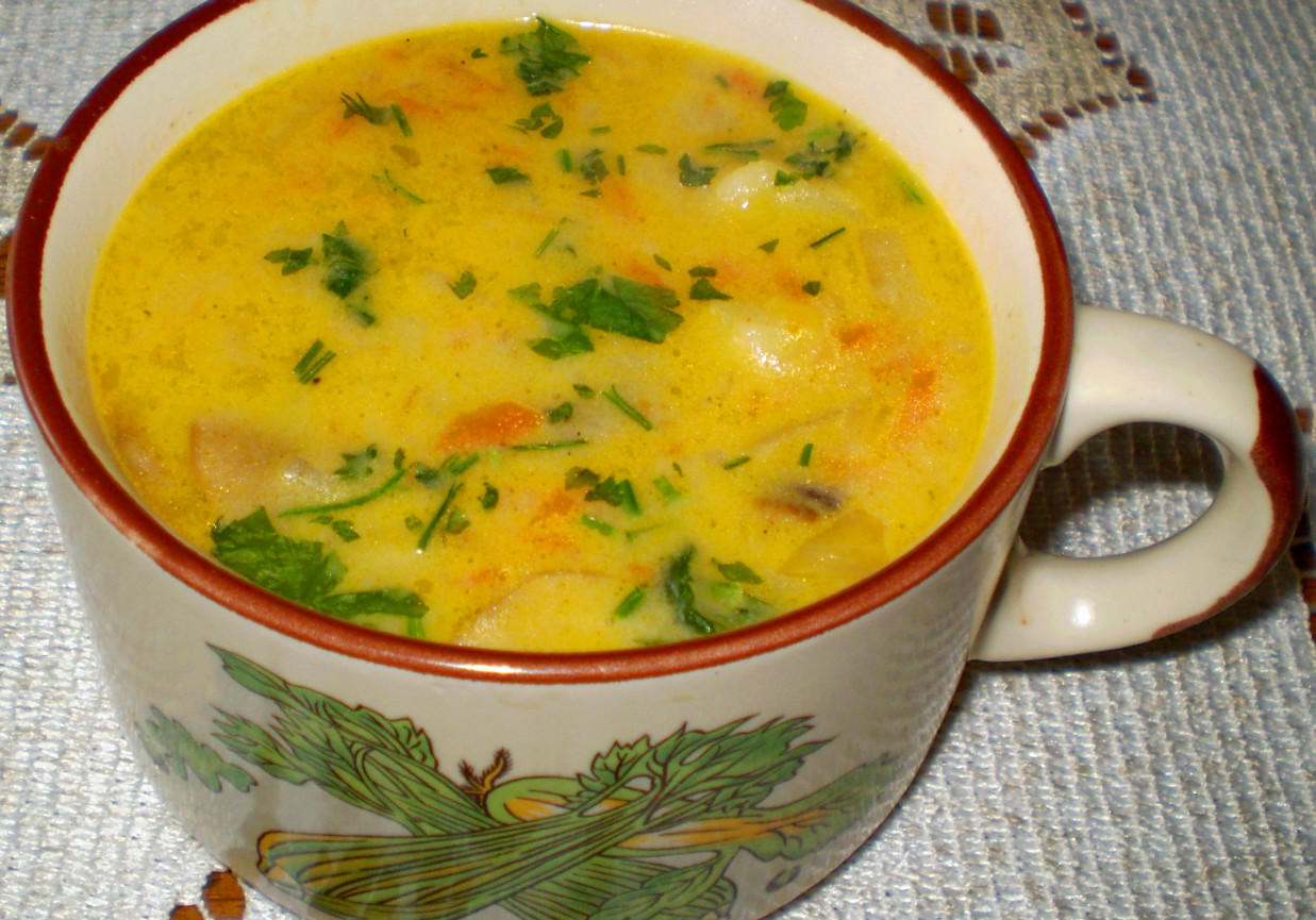 Zupa zacierkowa z warzywami : foto