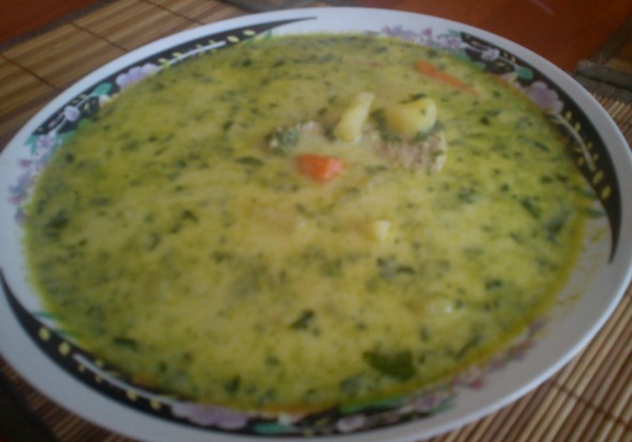 Zupa ze smażonym szpinakiem foto