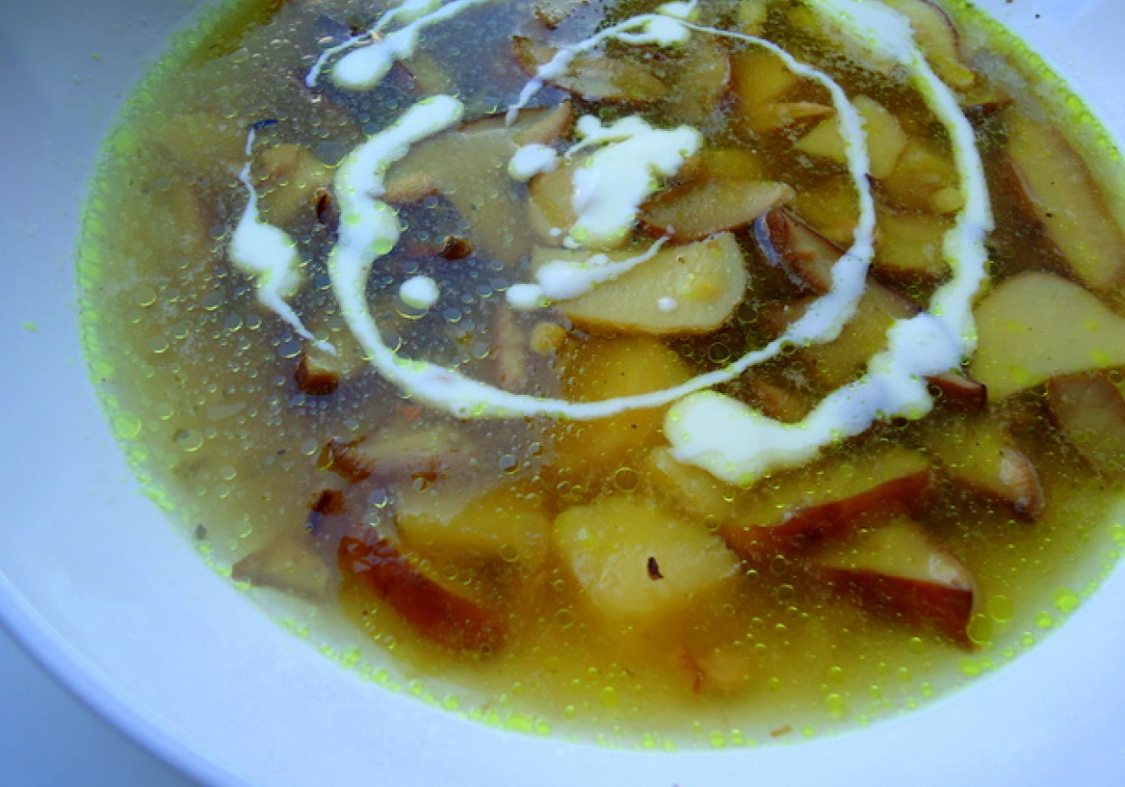 Zupa ze świeżych grzybów leśnych foto