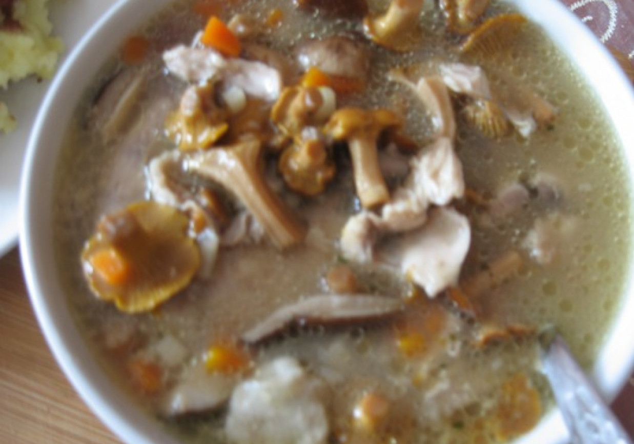 Zupa ze świeżych grzybów mieszanych foto